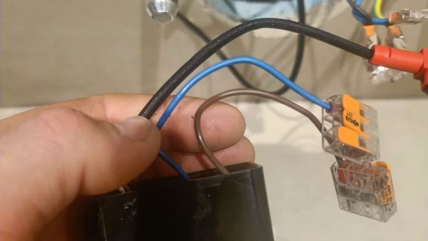 Cursus Elektra
